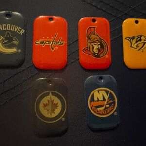 6 NHL licensed metal dog tags